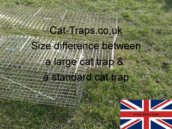 this photo shows how much longer and larger our large cat trap is againt our standard feral cat trap 