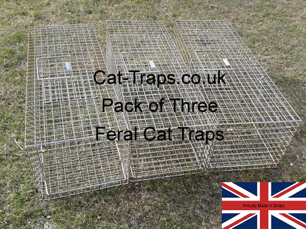 three feral cat traps