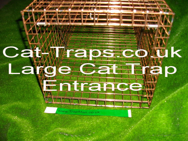 new large cat trap entrance