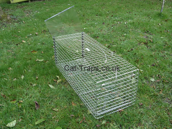 pro cat trap
