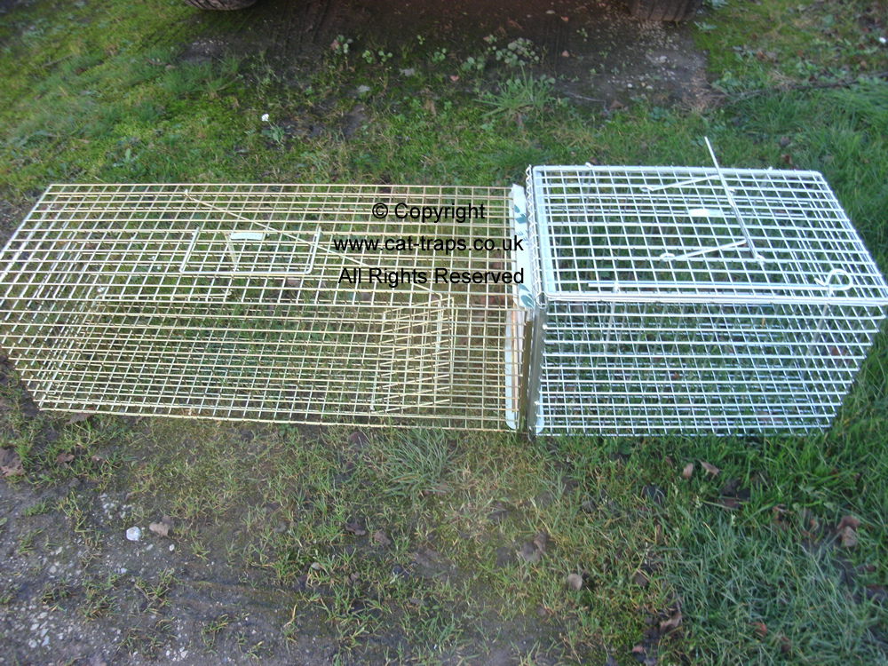 Trap Transfer Cage and Pro Gold feral cat trap