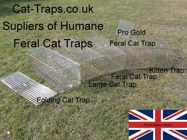 cat-traps.co.uk