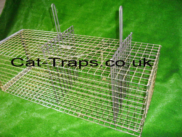 two cat trap dividers